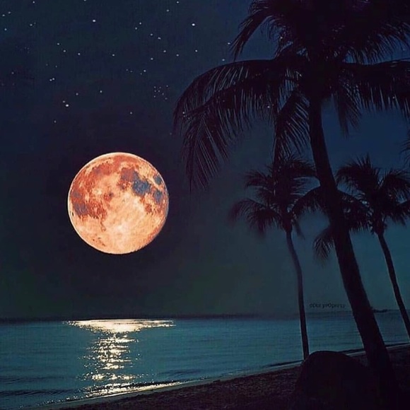 PRAISE THE MIGHTY KING 👑 - Picture 9 of 12